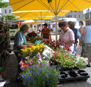 Markttag in Oelsnitz